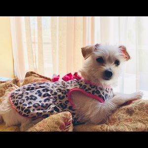 Meet your Posher, Jemimah